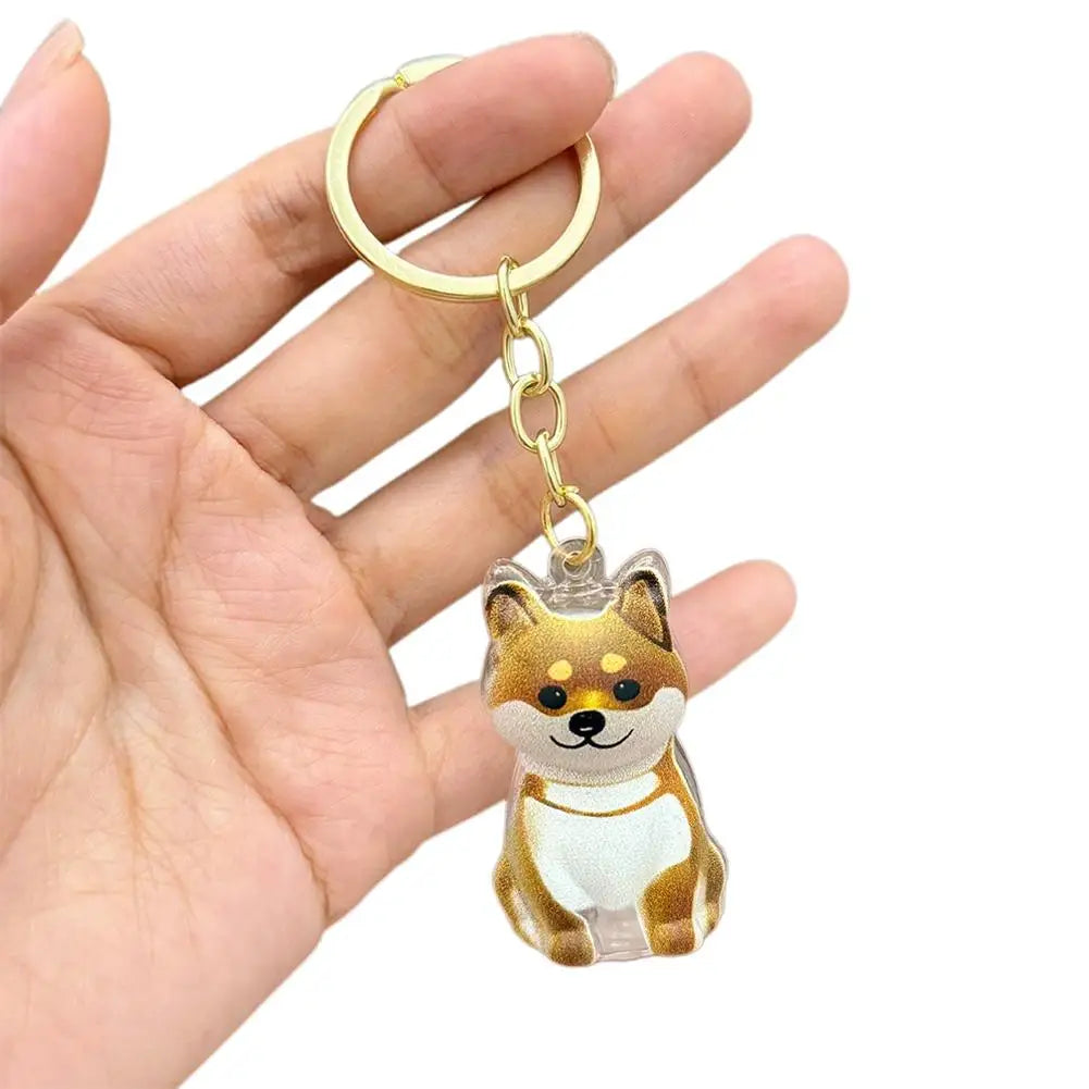FurKeeps - Transparent Pet Hair Keychain