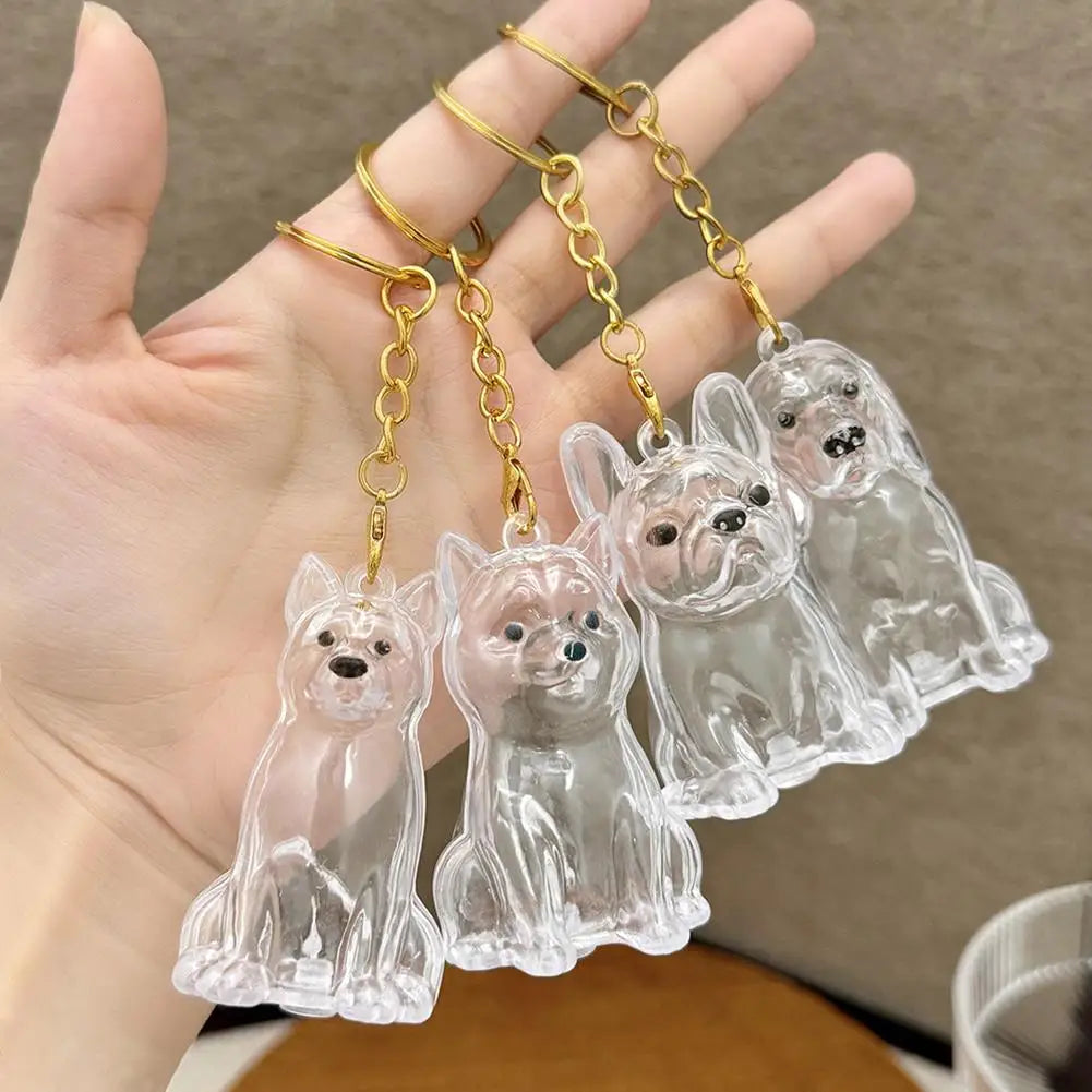 FurKeeps - Transparent Pet Hair Keychain