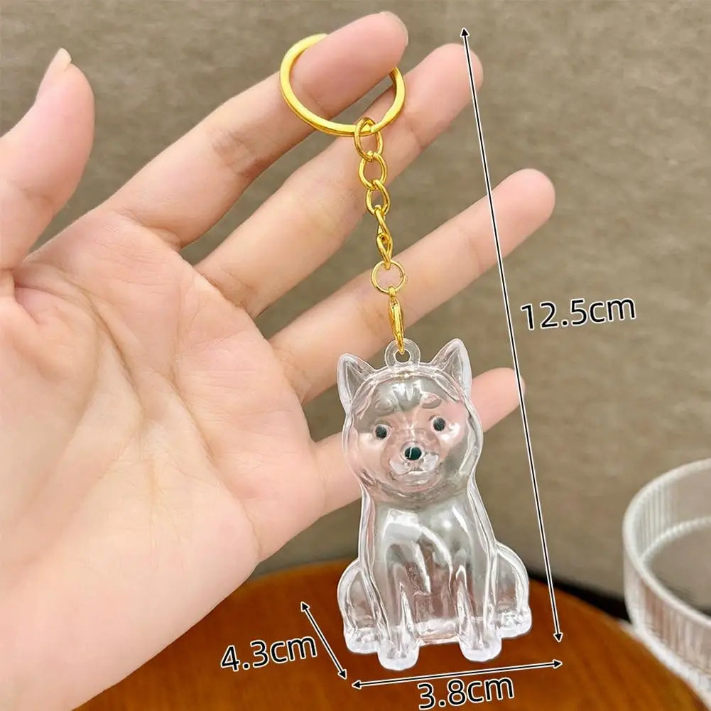 FurKeeps - Transparent Pet Hair Keychain