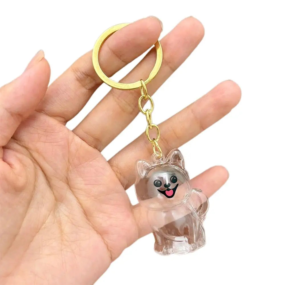 FurKeeps - Transparent Pet Hair Keychain