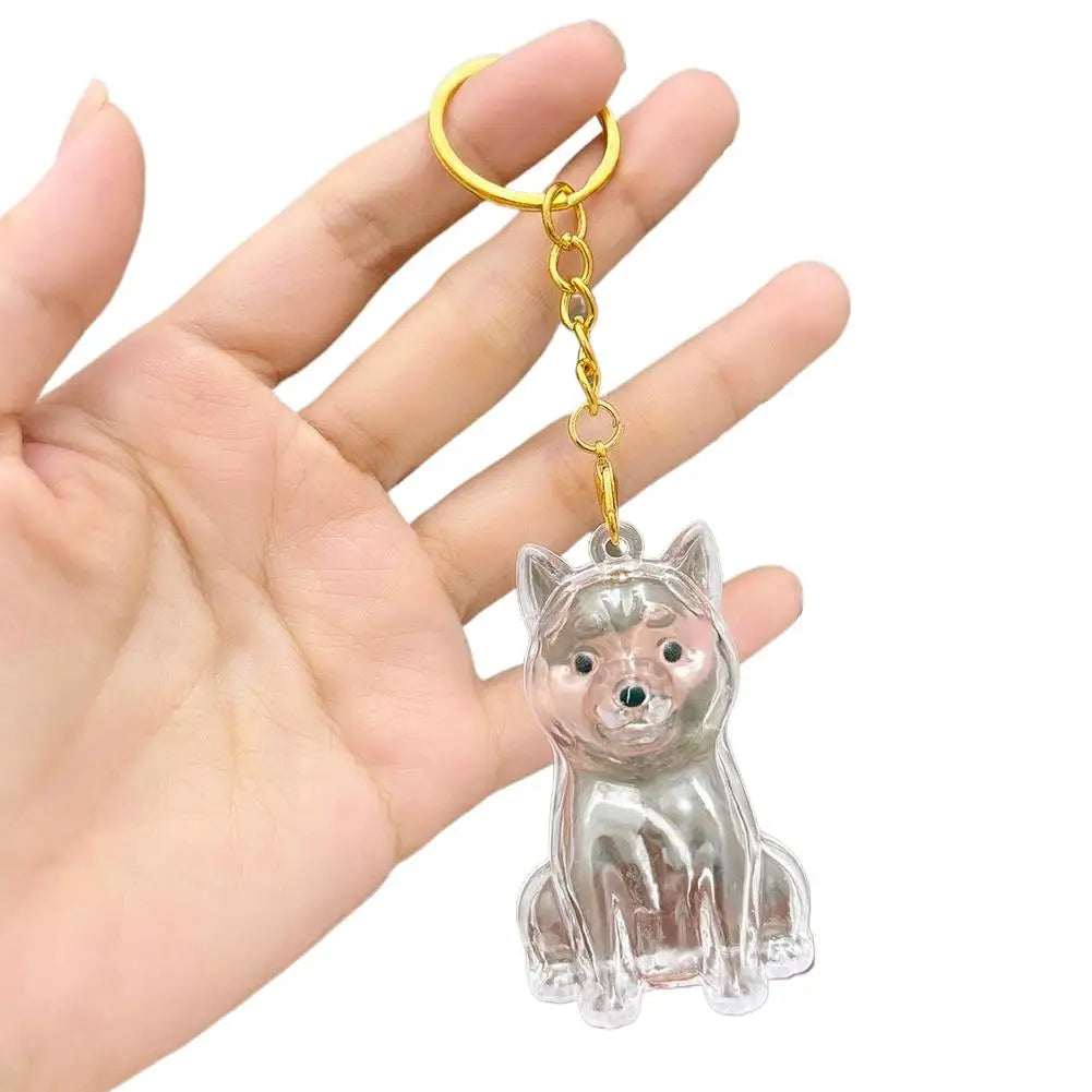 FurKeeps - Transparent Pet Hair Keychain