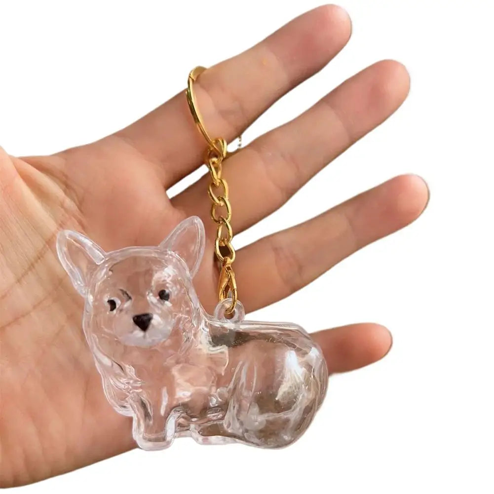 FurKeeps - Transparent Pet Hair Keychain