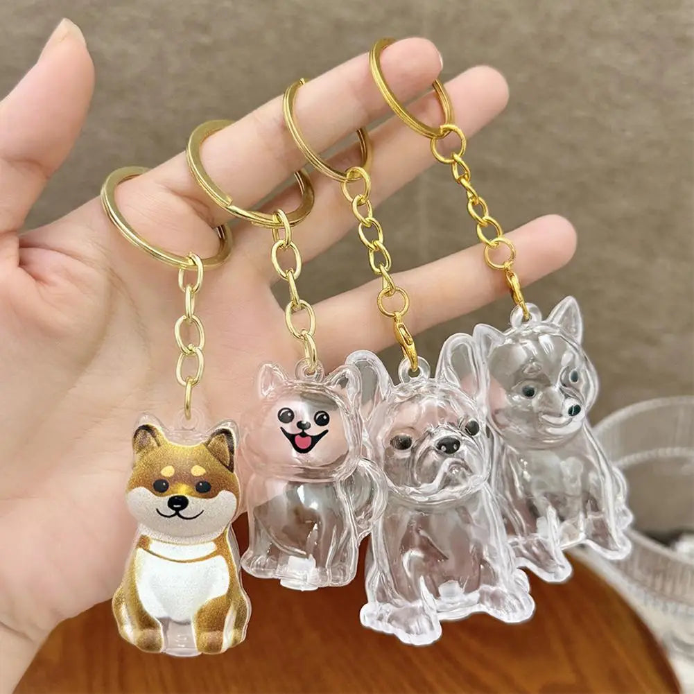 FurKeeps - Transparent Pet Hair Keychain