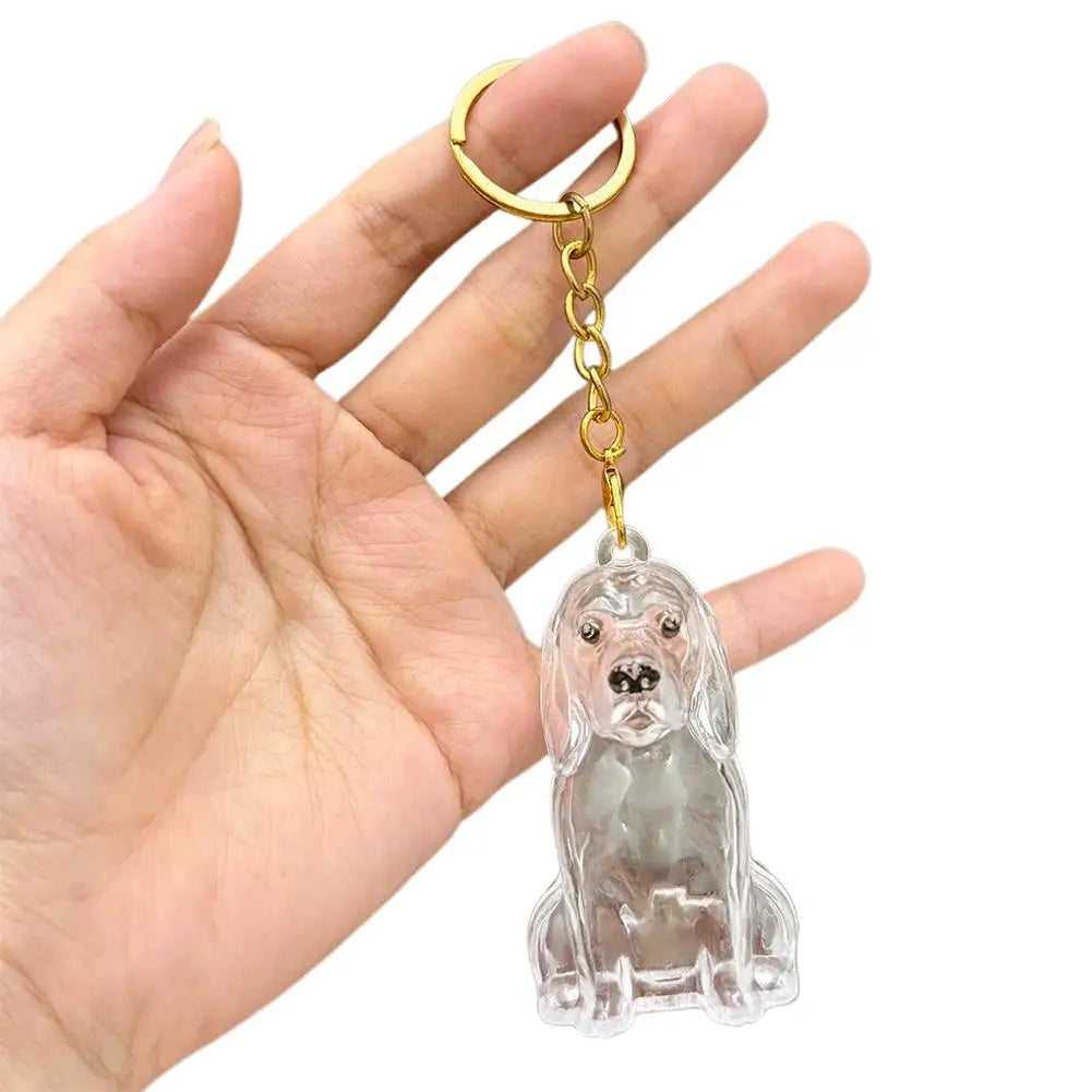 FurKeeps - Transparent Pet Hair Keychain
