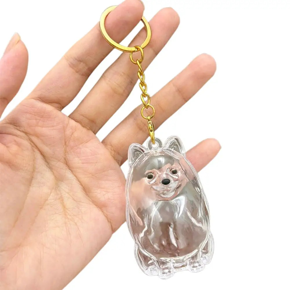 FurKeeps - Transparent Pet Hair Keychain